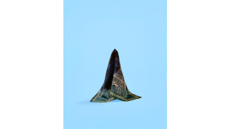 Pañuelo 67x67cm Noche Seda - Tienda Torre Eiffel