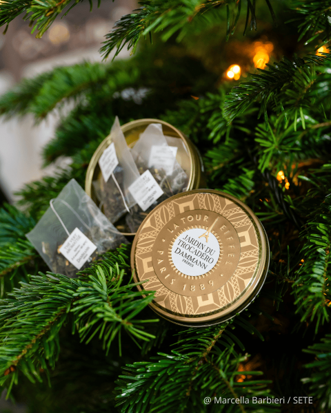 Eiffel Tower Box with 6 Jardin Tea Sachets - Dammann Frères