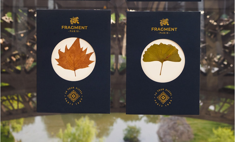 Herbarium Frame and Pouch Fragment - Official Eiffel Tower Shop