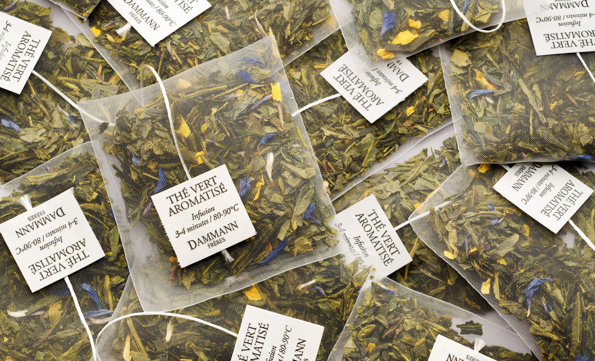 Boîte de 6 Sachets Thé du Jardin du Trocadéro - DAMMANN FRÈRES